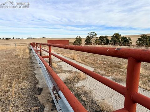 Tiny photo for 24063 County Road 122, Ramah, CO 80832 (MLS # 7550335)