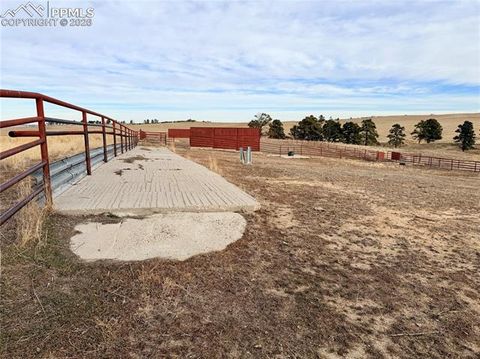 Tiny photo for 24063 County Road 122, Ramah, CO 80832 (MLS # 7550335)