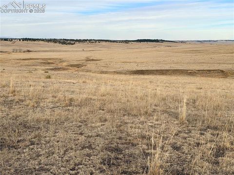 Tiny photo for 24063 County Road 122, Ramah, CO 80832 (MLS # 7550335)