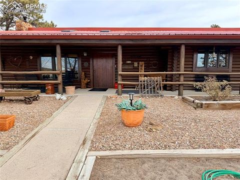 Photo of 24063 County Road 122, Ramah, CO 80832 (MLS # 7550335)