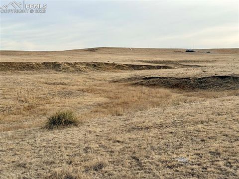 Tiny photo for 24063 County Road 122, Ramah, CO 80832 (MLS # 7550335)