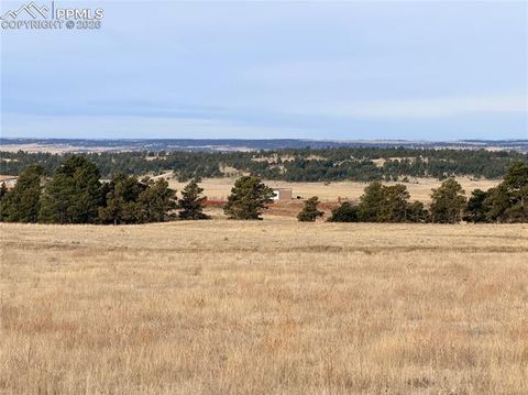 Tiny photo for 24063 County Road 122, Ramah, CO 80832 (MLS # 7550335)