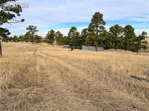 Tiny photo for 24063 County Road 122, Ramah, CO 80832 (MLS # 7550335)