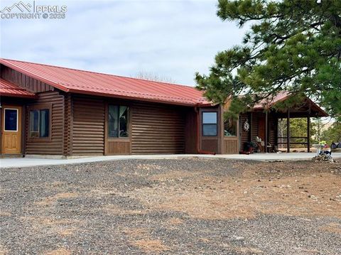 Tiny photo for 24063 County Road 122, Ramah, CO 80832 (MLS # 7550335)