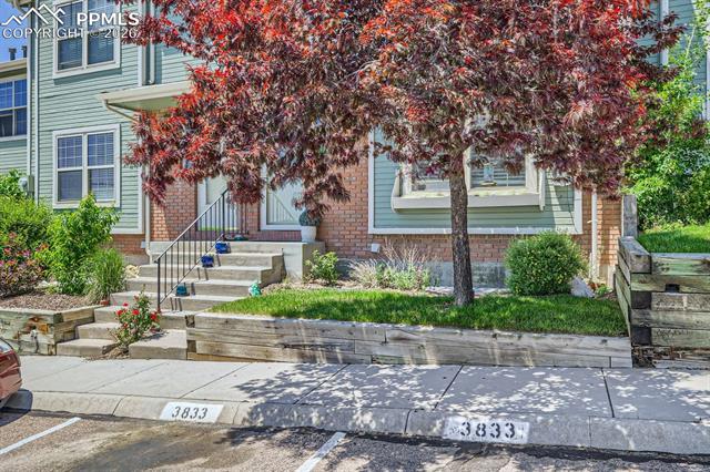 3833 Smoke Tree Drive