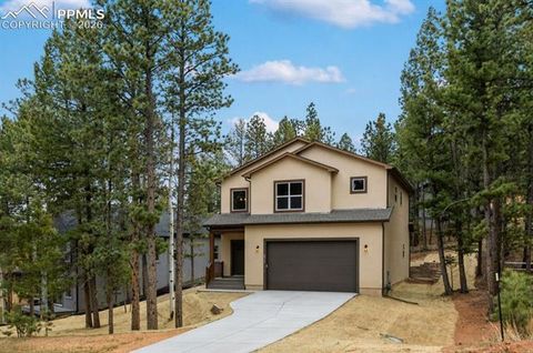 Photo of 671 Bradford Drive, Woodland Park, CO 80863 (MLS # 7410358)