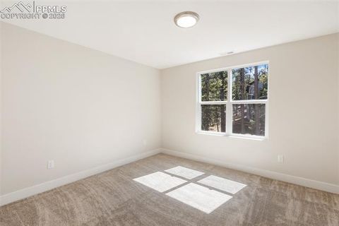 Tiny photo for 671 Bradford Drive, Woodland Park, CO 80863 (MLS # 7410358)