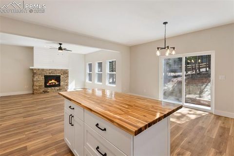 Tiny photo for 671 Bradford Drive, Woodland Park, CO 80863 (MLS # 7410358)