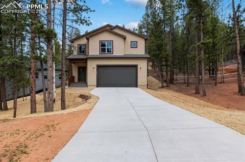 Tiny photo for 671 Bradford Drive, Woodland Park, CO 80863 (MLS # 7410358)