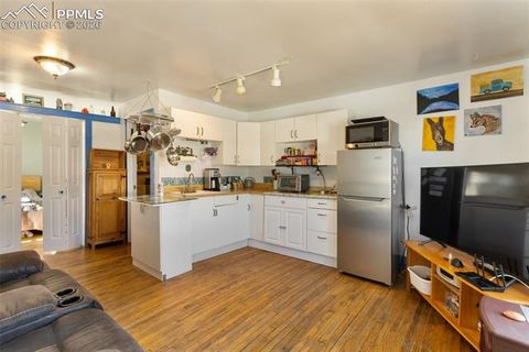 Tiny photo for 209 N 5th Street, Victor, CO 80860 (MLS # 2197865)