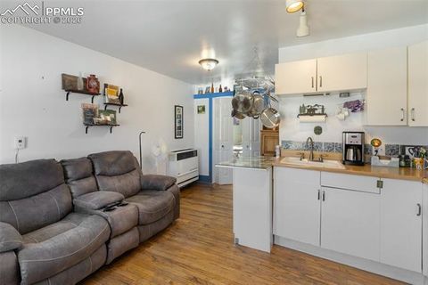 Tiny photo for 209 N 5th Street, Victor, CO 80860 (MLS # 2197865)