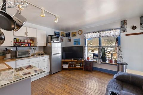 Tiny photo for 209 N 5th Street, Victor, CO 80860 (MLS # 2197865)