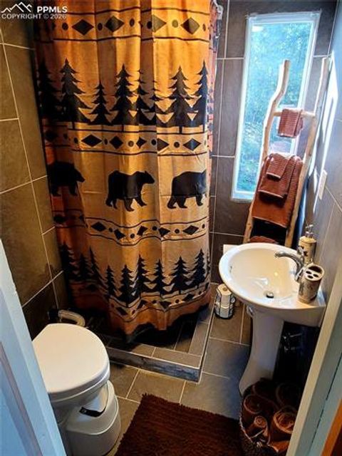 Tiny photo for 40 Flathead Lane, Woodland Park, CO 80863 (MLS # 4646299)