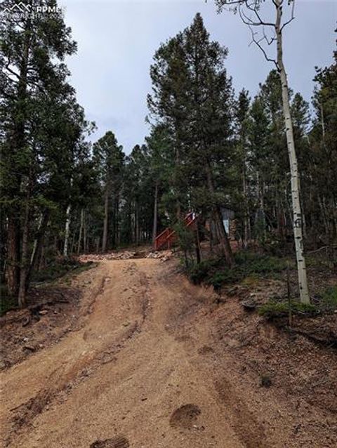 Tiny photo for 40 Flathead Lane, Woodland Park, CO 80863 (MLS # 4646299)