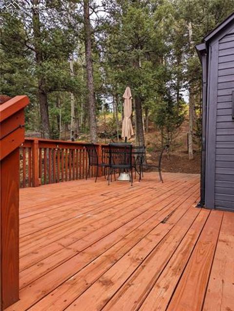 Tiny photo for 40 Flathead Lane, Woodland Park, CO 80863 (MLS # 4646299)