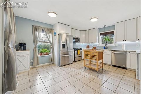 Tiny photo for 31 Wallace Drive, Florissant, CO 80816 (MLS # 9887204)