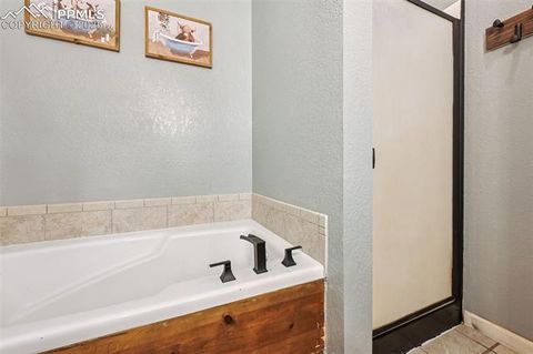 Tiny photo for 31 Wallace Drive, Florissant, CO 80816 (MLS # 9887204)