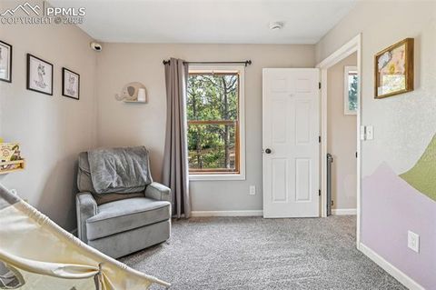 Tiny photo for 31 Wallace Drive, Florissant, CO 80816 (MLS # 9887204)