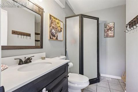 Tiny photo for 31 Wallace Drive, Florissant, CO 80816 (MLS # 9887204)