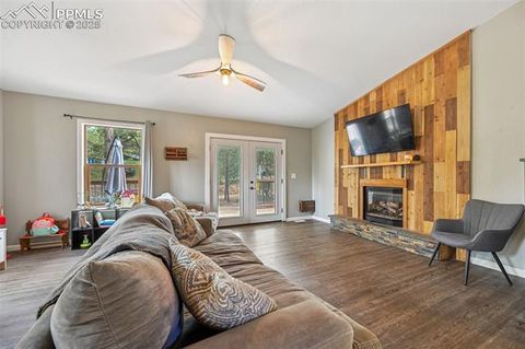 Tiny photo for 31 Wallace Drive, Florissant, CO 80816 (MLS # 9887204)