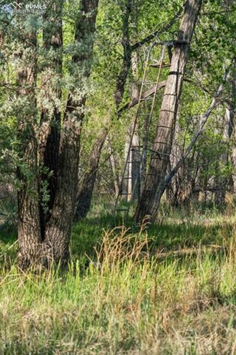 Tiny photo for 16990 Old Pueblo Road, Fountain, CO 80817 (MLS # 5106559)