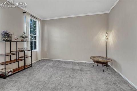 Tiny photo for 3680 Pony Tracks Drive, Colorado Springs, CO 80922 (MLS # 9374024)