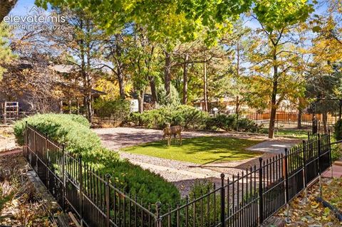 Tiny photo for 570 Big Valley Drive, Colorado Springs, CO 80919 (MLS # 6081402)