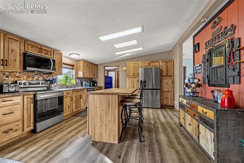 Tiny photo for 110 Rimrock Circle, Florissant, CO 80816 (MLS # 6163830)