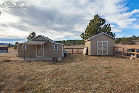 Tiny photo for 110 Rimrock Circle, Florissant, CO 80816 (MLS # 6163830)