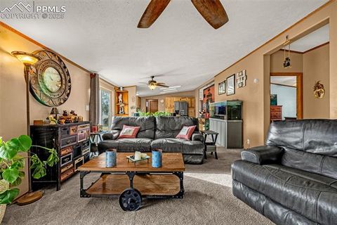 Tiny photo for 110 Rimrock Circle, Florissant, CO 80816 (MLS # 6163830)