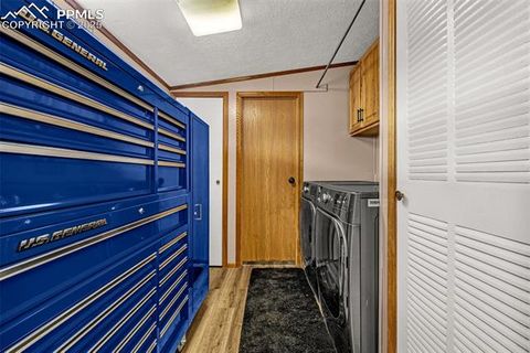 Tiny photo for 110 Rimrock Circle, Florissant, CO 80816 (MLS # 6163830)