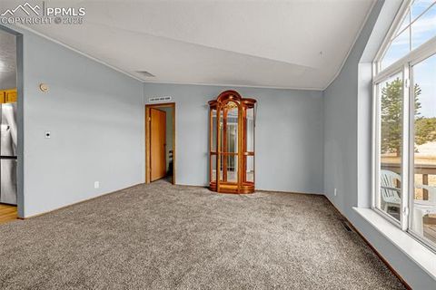 Tiny photo for 110 Rimrock Circle, Florissant, CO 80816 (MLS # 6163830)