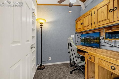 Tiny photo for 110 Rimrock Circle, Florissant, CO 80816 (MLS # 6163830)