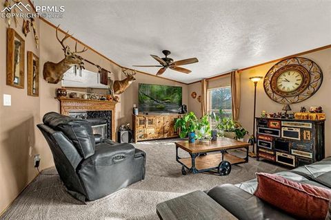 Tiny photo for 110 Rimrock Circle, Florissant, CO 80816 (MLS # 6163830)