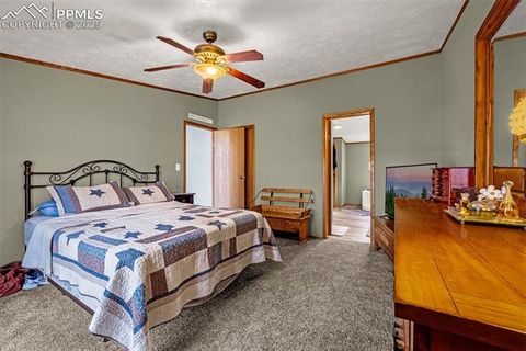 Tiny photo for 110 Rimrock Circle, Florissant, CO 80816 (MLS # 6163830)