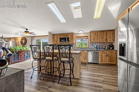 Tiny photo for 110 Rimrock Circle, Florissant, CO 80816 (MLS # 6163830)