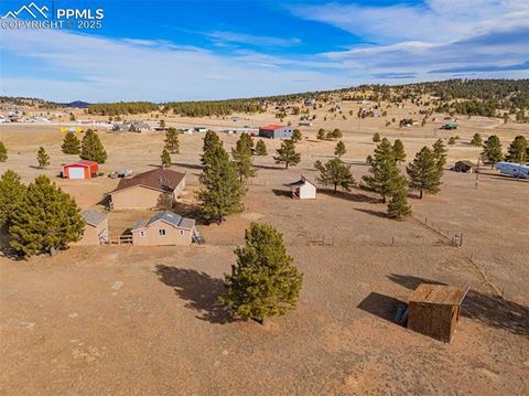 Tiny photo for 110 Rimrock Circle, Florissant, CO 80816 (MLS # 6163830)