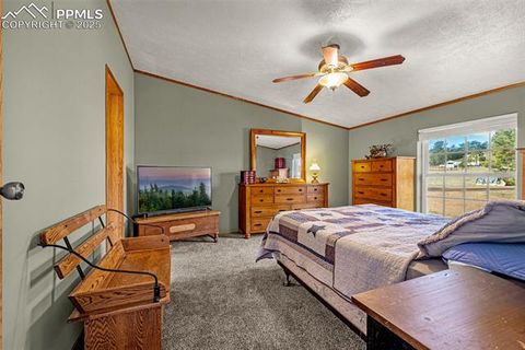 Tiny photo for 110 Rimrock Circle, Florissant, CO 80816 (MLS # 6163830)