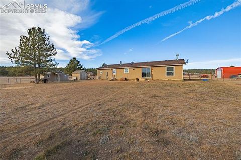 Tiny photo for 110 Rimrock Circle, Florissant, CO 80816 (MLS # 6163830)