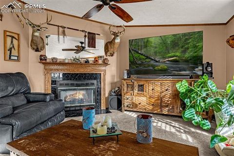 Tiny photo for 110 Rimrock Circle, Florissant, CO 80816 (MLS # 6163830)