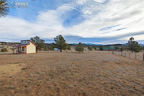 Tiny photo for 110 Rimrock Circle, Florissant, CO 80816 (MLS # 6163830)