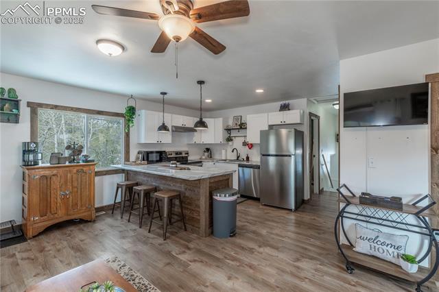 577 Horseshoe Drive