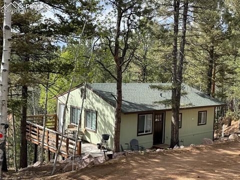 577 Horseshoe Drive Divide CO 80814