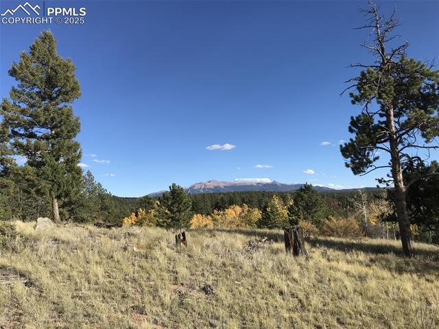 826 Chipeta Creek Trail