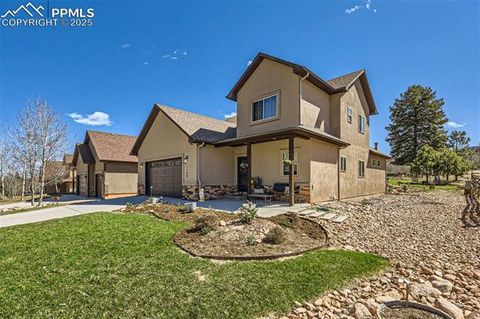 1149 Ptarmigan Drive Woodland Park CO 80863