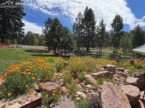 Tiny photo for 1149 Ptarmigan Drive, Woodland Park, CO 80863 (MLS # 1623367)