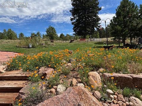 Tiny photo for 1149 Ptarmigan Drive, Woodland Park, CO 80863 (MLS # 1623367)