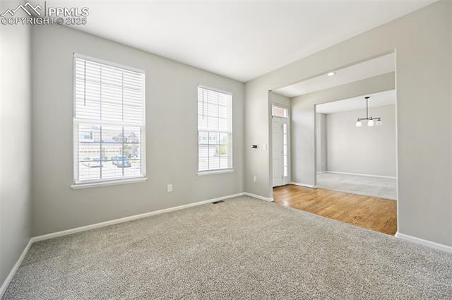 479 Caprice Court