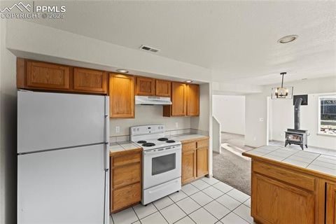 Tiny photo for 660 Calico Court, Woodland Park, CO 80863 (MLS # 6752317)