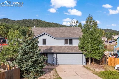 Tiny photo for 660 Calico Court, Woodland Park, CO 80863 (MLS # 6752317)